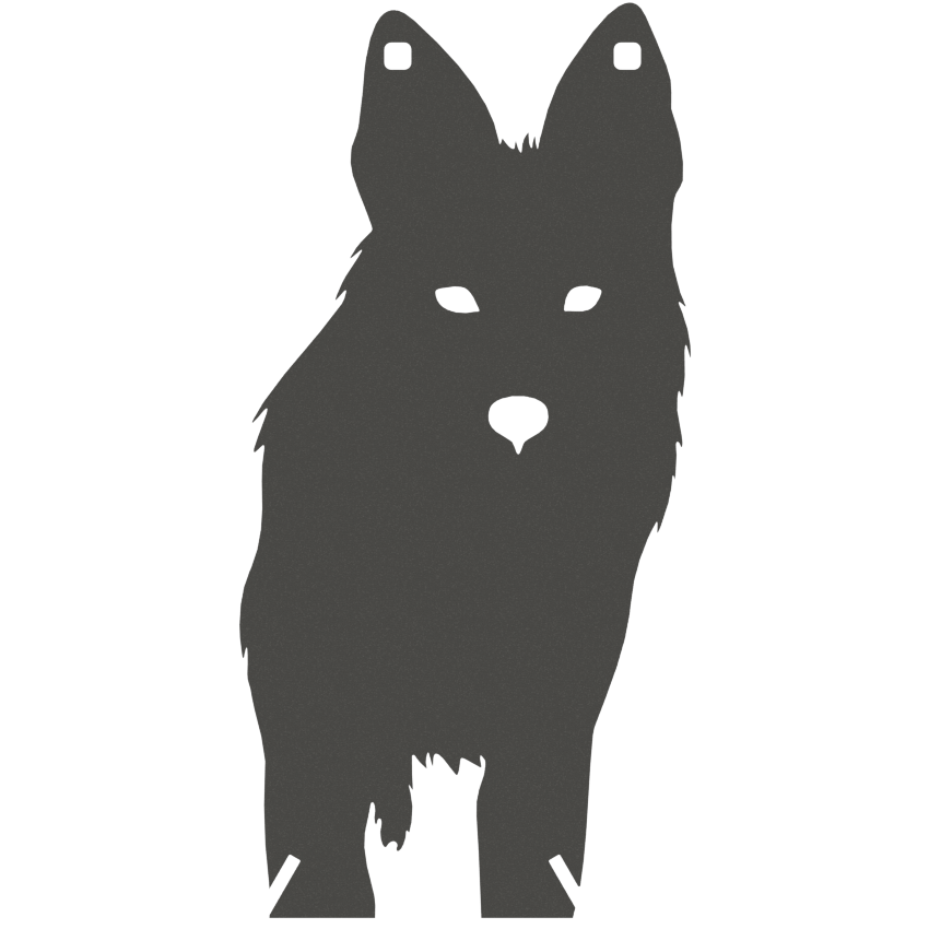 Coyote Gong - Full-Size - Front Facing