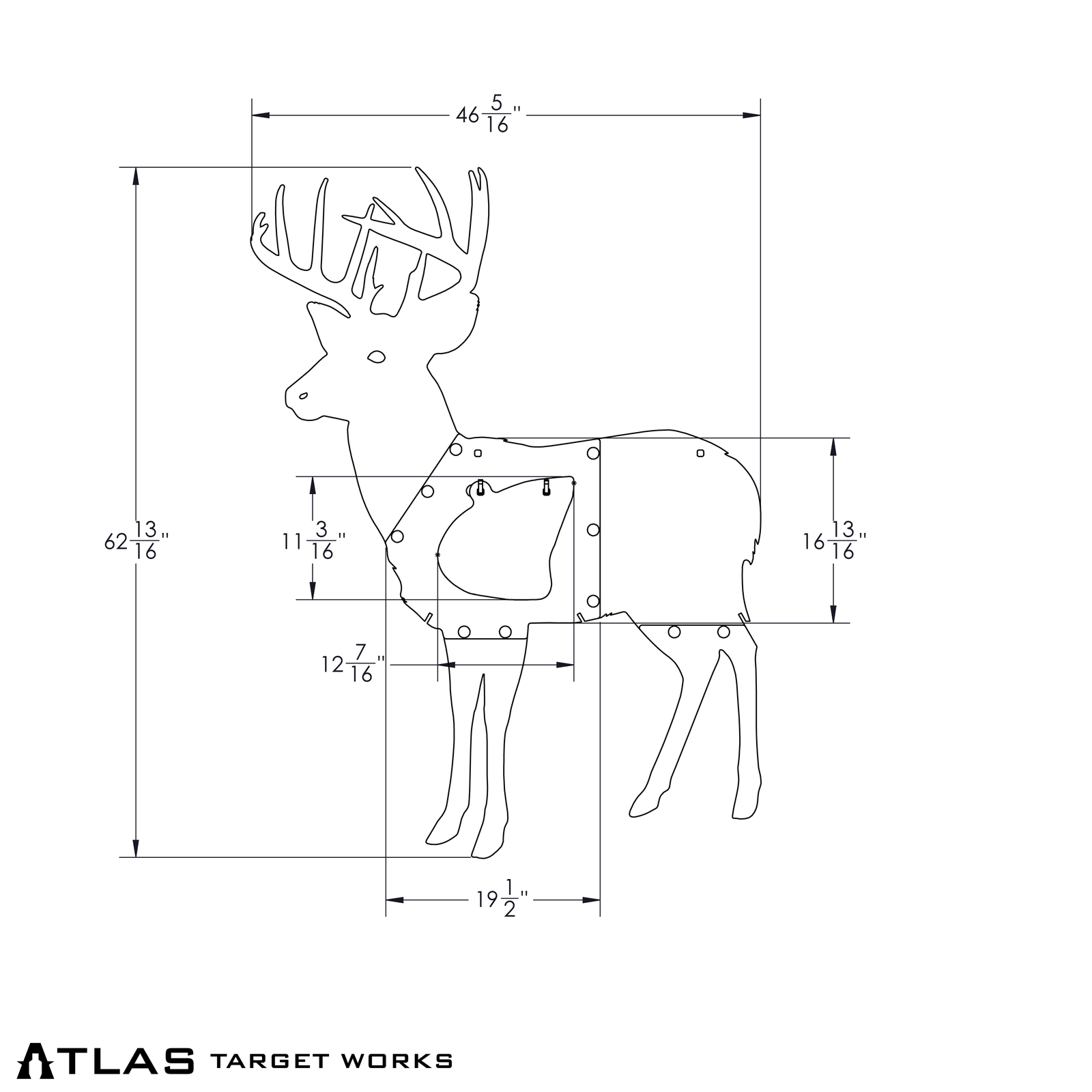 full-size whitetail buck target dimensions