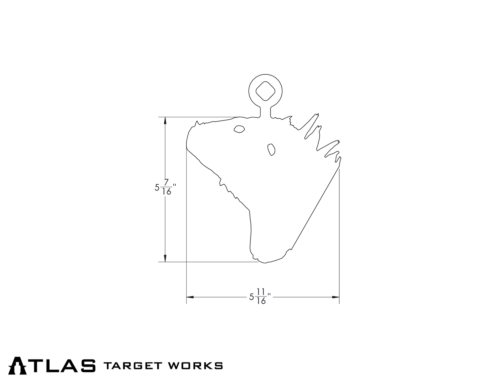 Full-Size iguana head dimensions