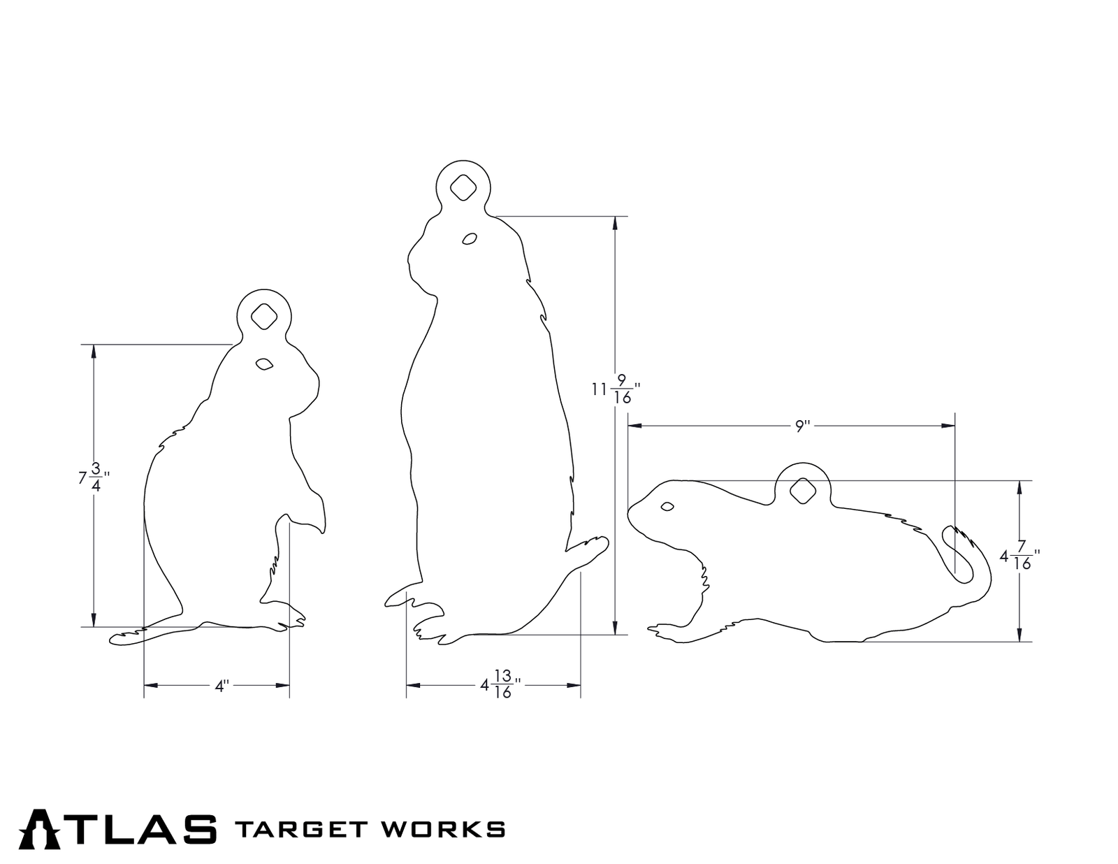 prairie dog target dimensions