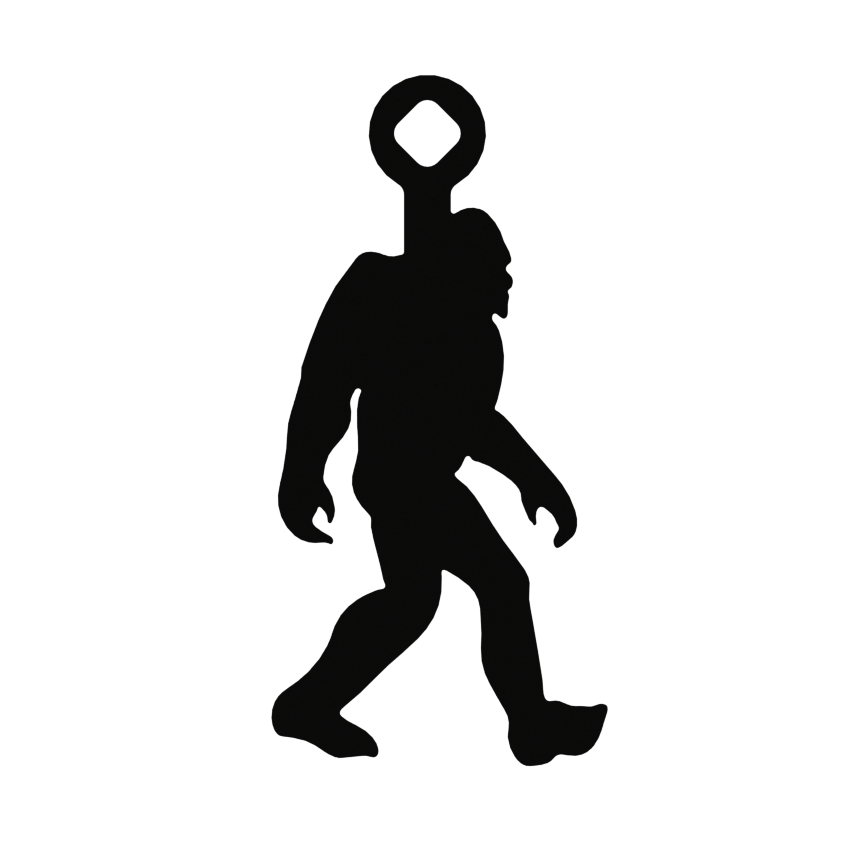 sasquatch rimfire gong