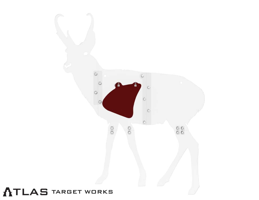 Pronghorn Vital Gong - Full-Size