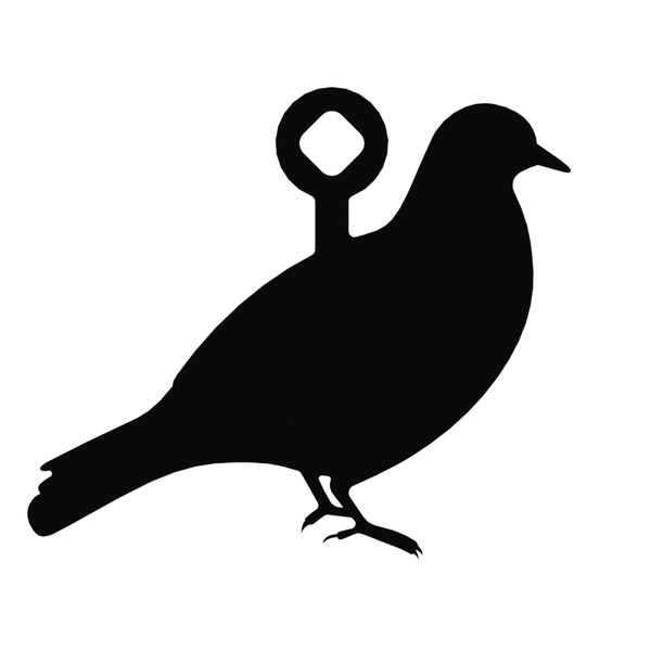 ar500pigeontargetcoverimage1x1