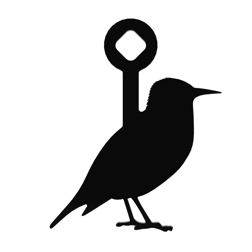 starling rimfire target cover image