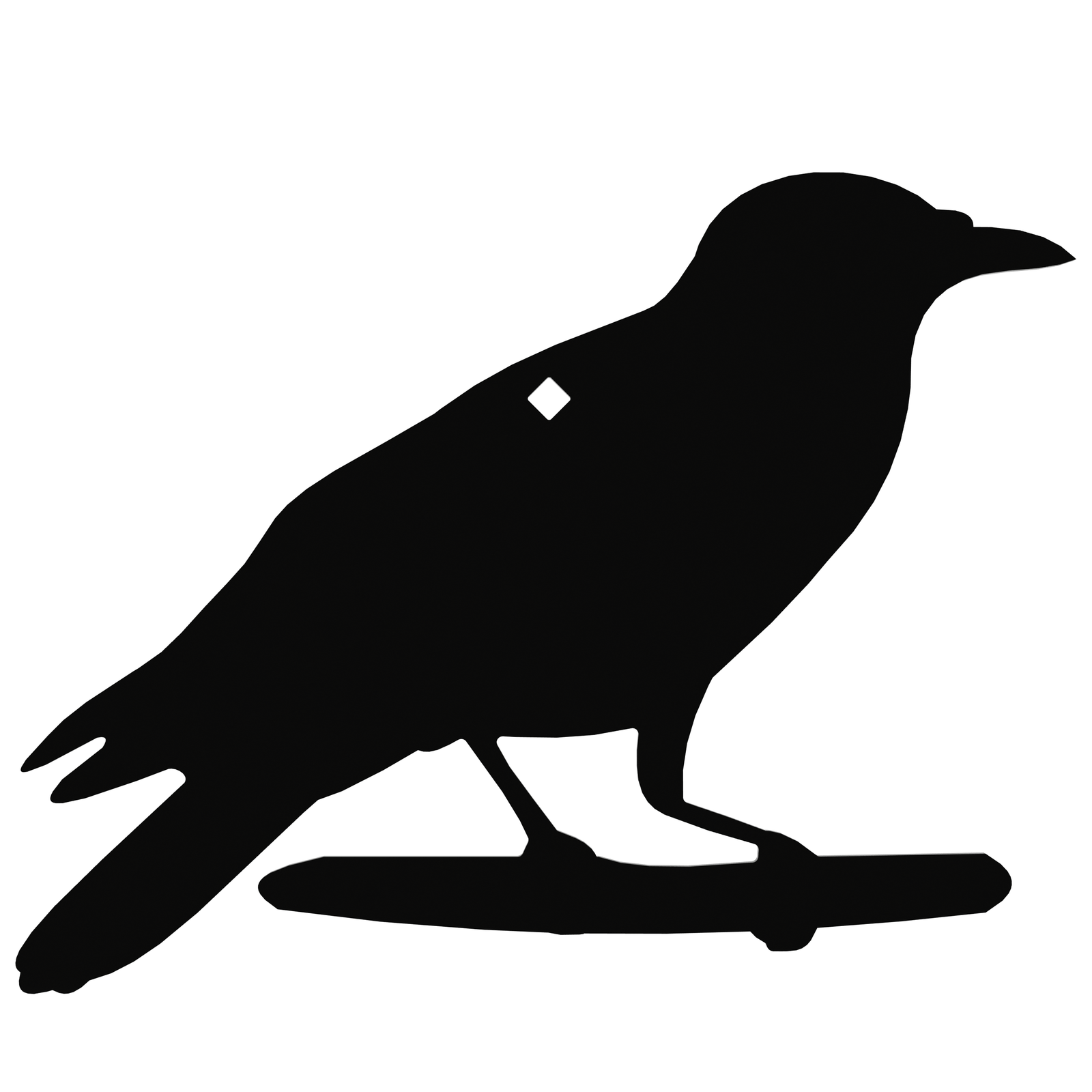 crow-raven target