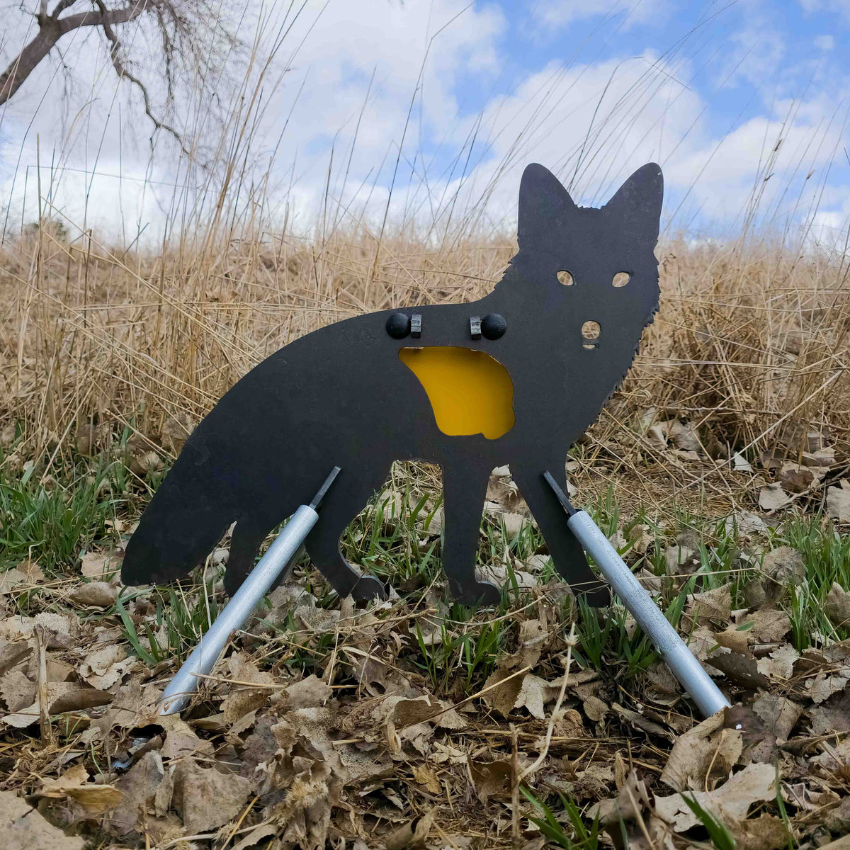 fox steel target picture in front of shooting berm