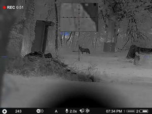 full size ar500 coyote target through thermal scope
