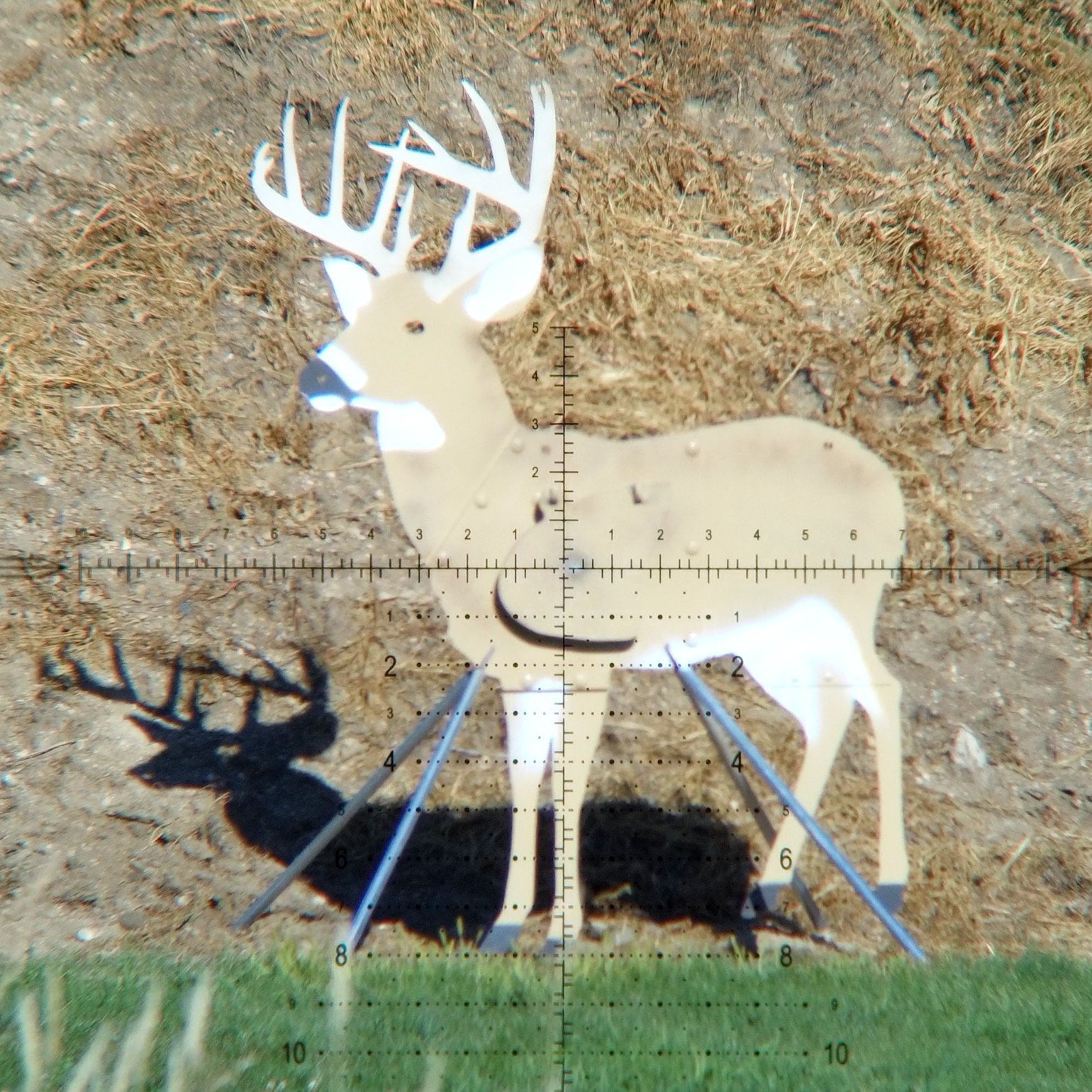 full-size whitetail buck steel target through scope