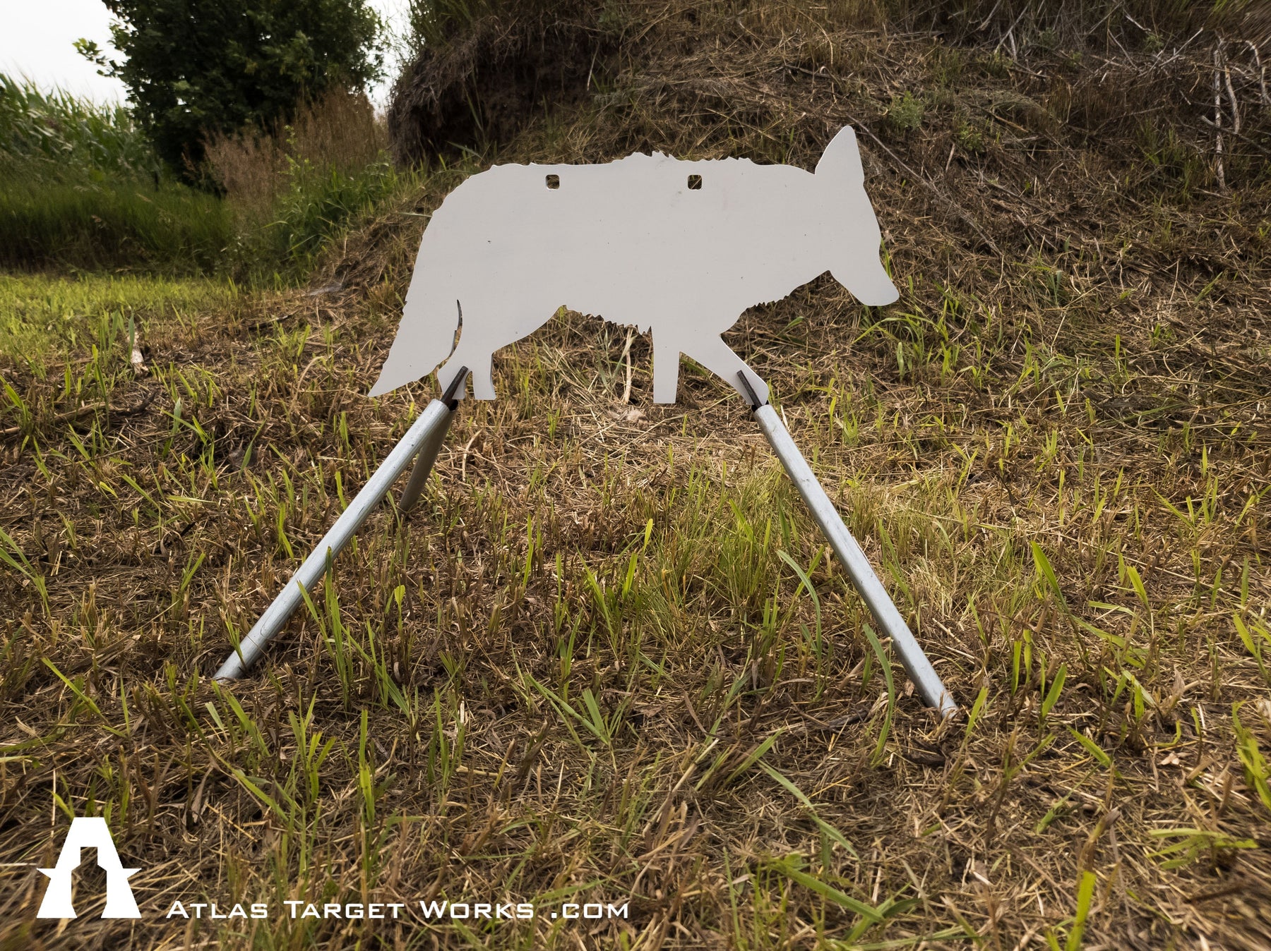 Predator Triangle Target AR500 Coyote/Predator Target - Atlas Target Works