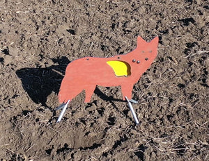 Full Size | Life Size | AR500 Steel Reactive Coyote Target | Sitting In Field Flapper Down