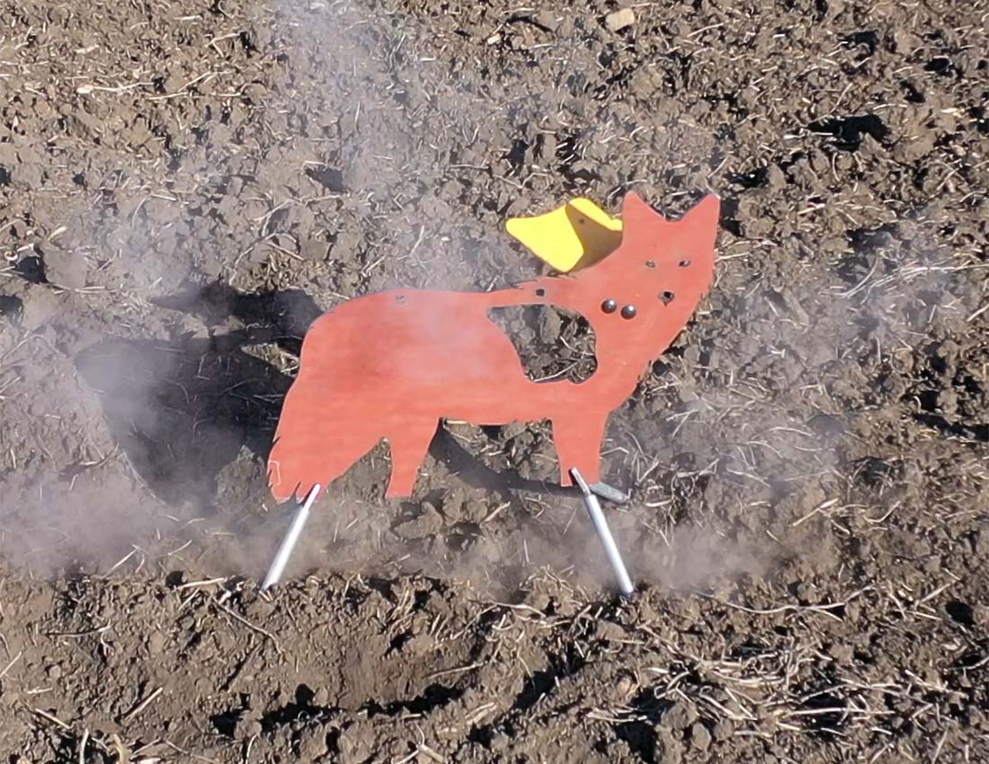 Full Size | Life Size | AR500 Steel Reactive Coyote Target | Sitting In Field Flapper Up