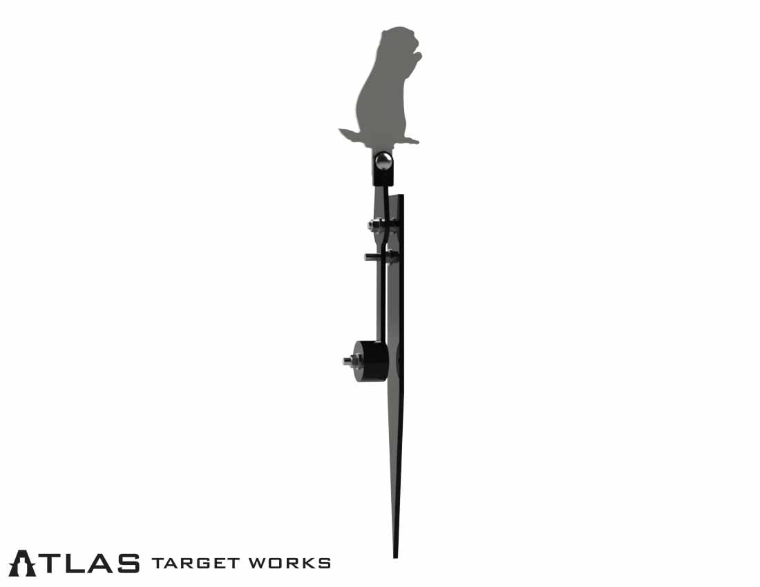 Rimfire Gravity Popper - Multiple Target Shapes