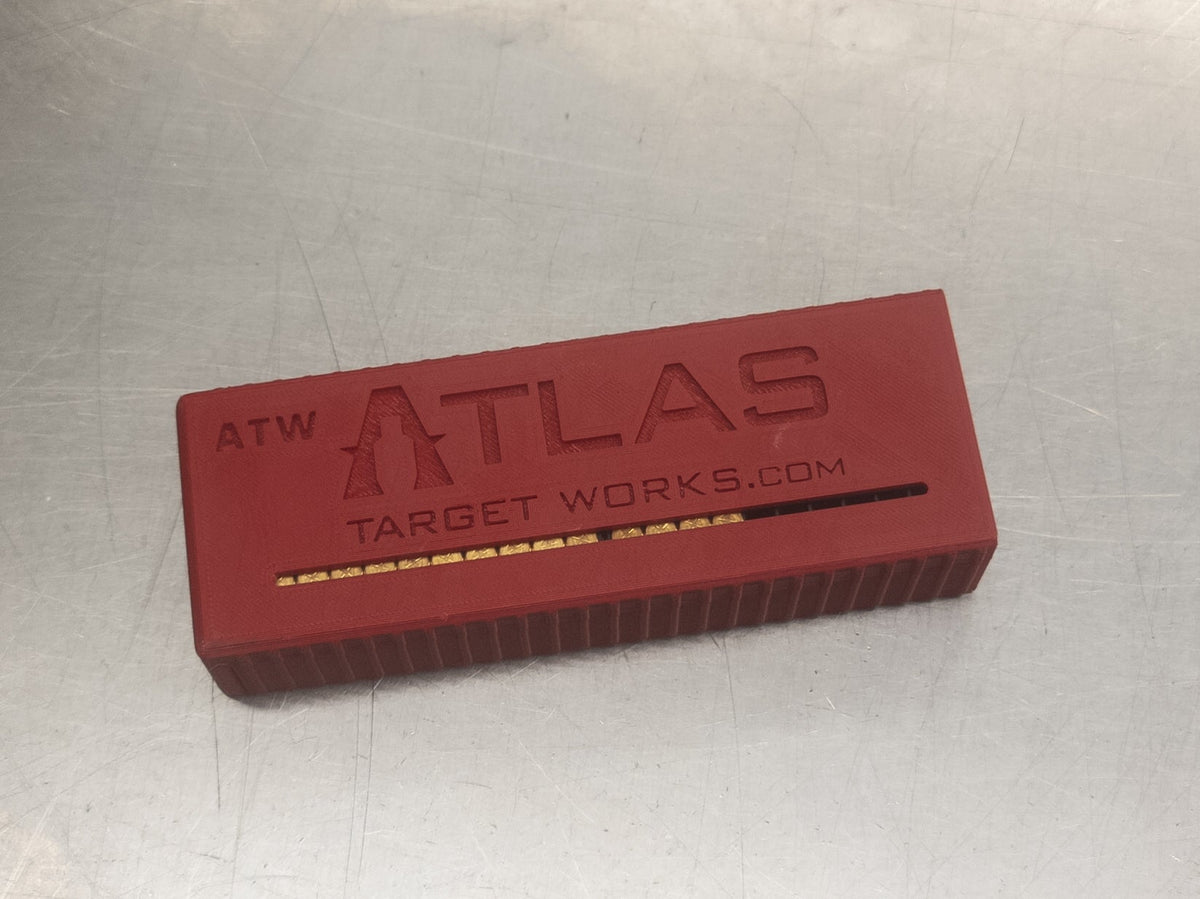 3D Printed SK/Lapua Rimfire Ammo Case