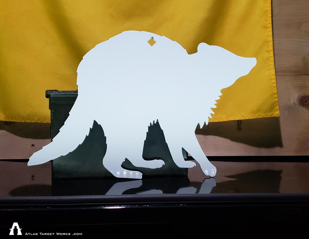 raccoon target with ammo can for scale