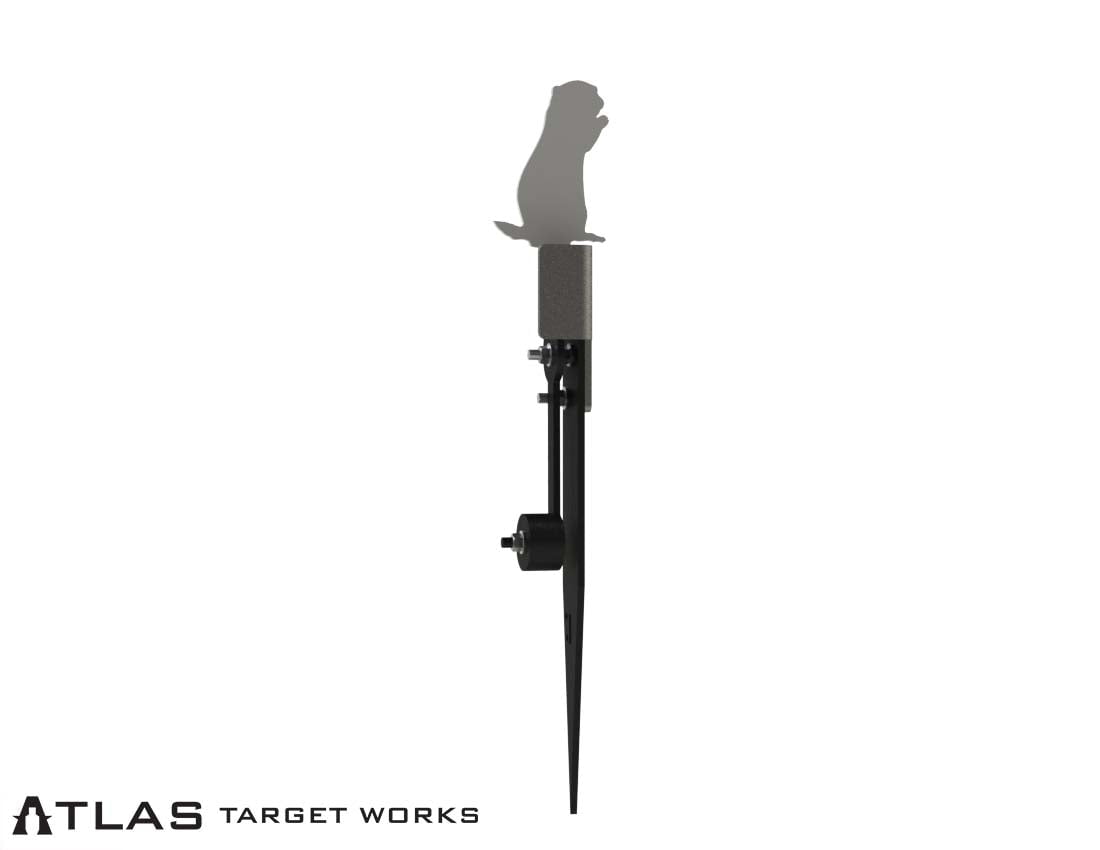 Rimfire Gravity Popper - Multiple Target Shapes