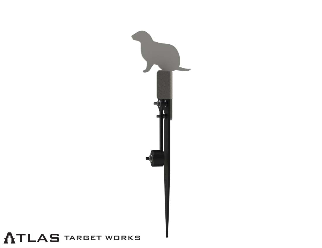 Rimfire Gravity Popper - Multiple Target Shapes